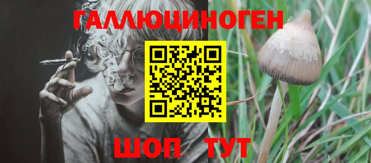 Псилоцибиновые грибы MAGIC MUSHROOMS  Вход с VPN  Муравленко 